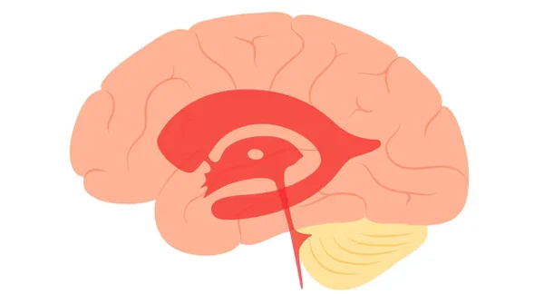 Neurosurgery
