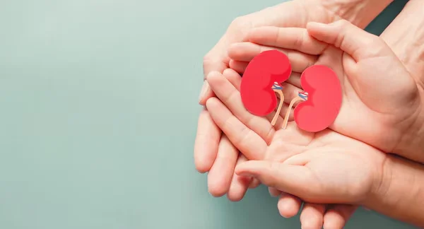 Kidney Transplant